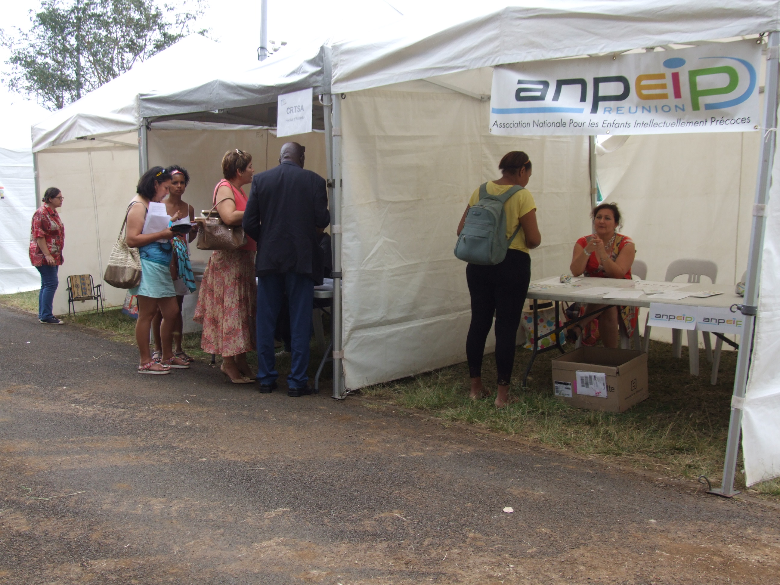 Photo Journee Nationale des Dys 2015 - 10 - Stand Association Nationale Pour les Enfants Intellectuellement Precoces.JPG